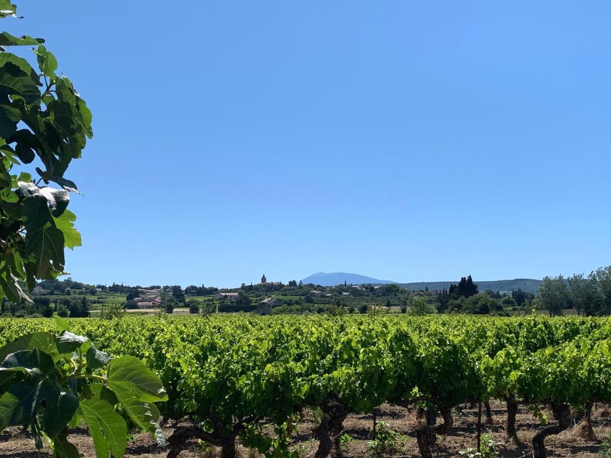 Gites La Ferme De Marguerite Tulette Εξωτερικό φωτογραφία