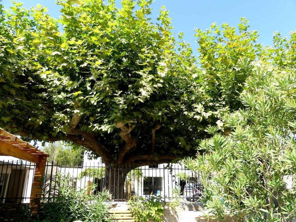 Gites La Ferme De Marguerite Tulette Εξωτερικό φωτογραφία